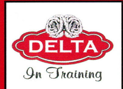 Delta In Training